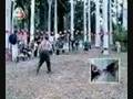 ***** Stupid Funny People And Animals *****