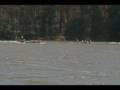 videos de capture001.dv