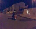Gaminha Gaminha