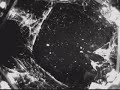 Space Spider: Battle with Microgravity