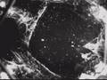 Space Spider: Battle with Microgravity
