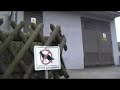 This is a video featuring the 