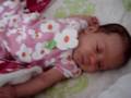 Cerise