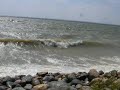 not a good day for fishing