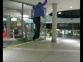 gibbon compilation