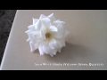 Soul Meets Body (Vitamin String Quartet)