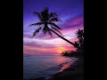 Ray J - Exotic