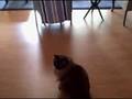 Jul 24 2008 - VID00001