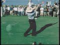 Swingvision - Briny Baird Iron