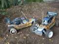 RC Buggy Racing Track - FG Carson Super Attack Wood Bashing