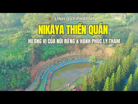 NIKAYA Thiền Quán - Hương Vị Của Núi Rừng & Hạnh Phúc Ly Tham **