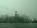 Shelbyville storm #4