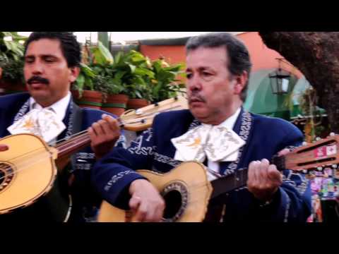 how to adjust after study abroad