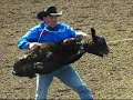 Stop Animal Cruelty
