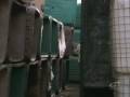 videos de Tracker S01E08 Children Of The Night - Part 4