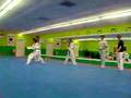 TaeKwonDo Master Lee's Multiple Tornado