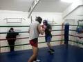 sparing Martirosyan vs Karmazin