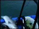 Freedom Hawk Kayak Fishing For Stripers Cape Cod 1