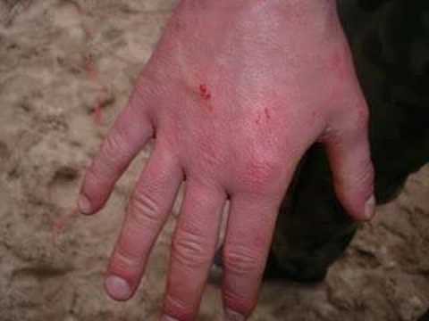 0 How to Be a Cop: Learning Self Defense