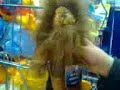 boneing stuff in 99p store part 2