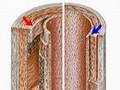 Arteries and Veins