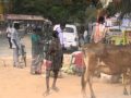 Dans les rues en Inde du Sud