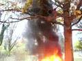 Chair fire after Ohio State beat Michigan.... AGAIN!!! 