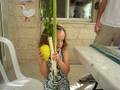 videos de succot