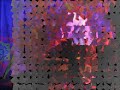 WAKA-Je t'en prie.wmv