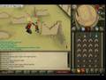 Duel arena death matches.