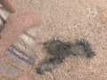 How to Remove Ink Stains from Carpet