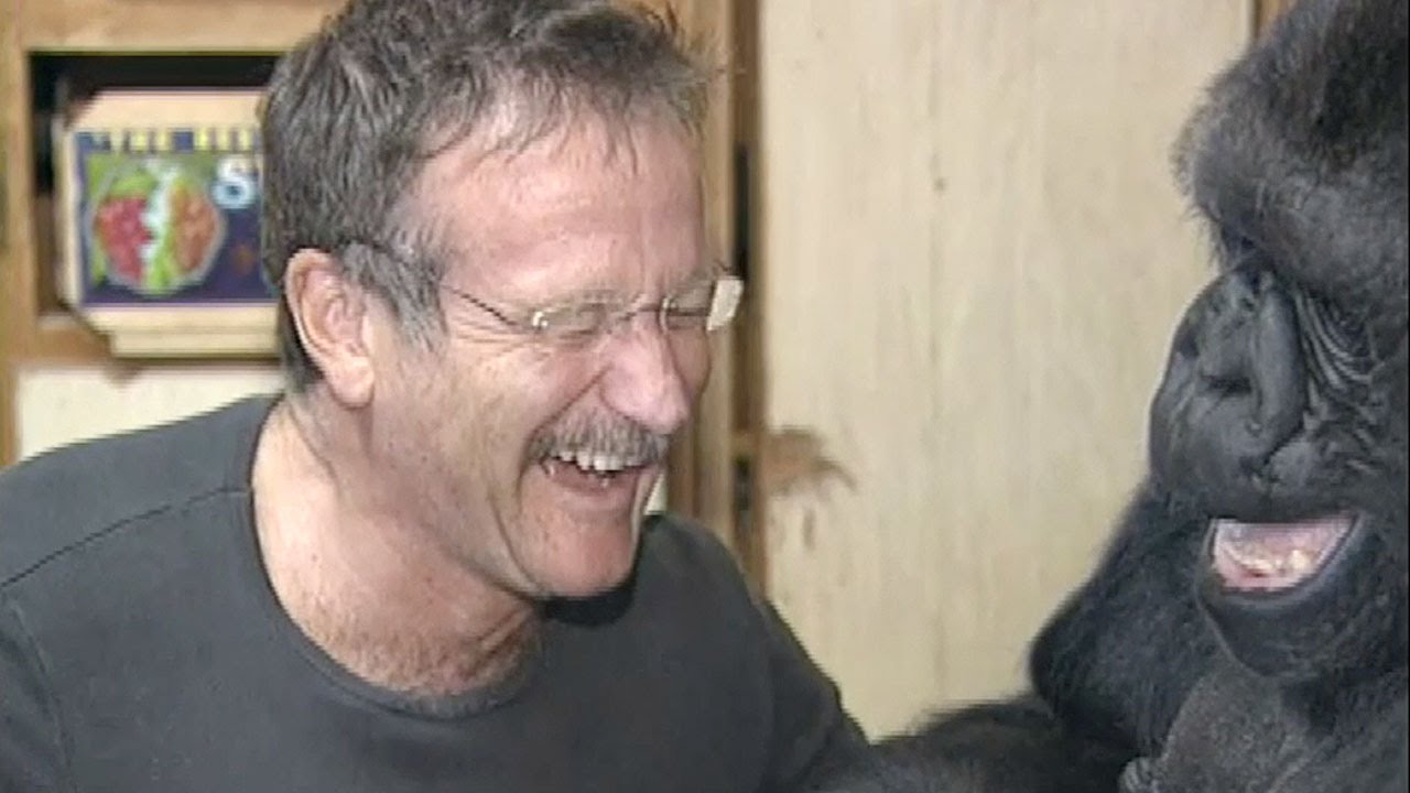 Robin Williams and Koko the Gorilla