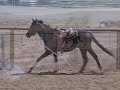 Sinaloa - Hunter Prospect for Sale