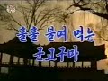 DPRK Music Video- Roasted Sweet Potato