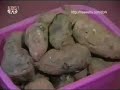DPRK Music Video- Roasted Sweet Potato