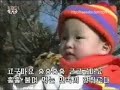 DPRK Music Video- Roasted Sweet Potato