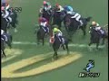 2007 ????????????? Hanshin Juvenile Fillies 2007 ????????????? Hanshin Juvenile Fillies