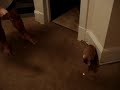 Samy playing with the laser