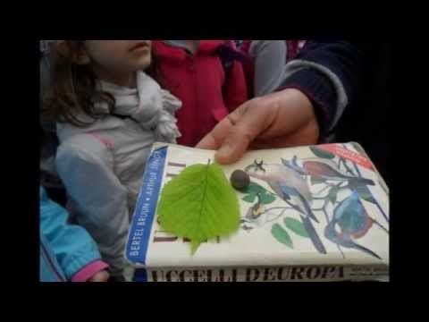 Le classi 2A, 3A e 3B nel Parco dello Storga di Treviso... Guardiani della Natura!