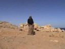 sinai