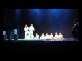 2008 Wiklund dojo show during Gavle Cityfest