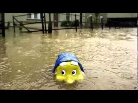 how to drain boggy land