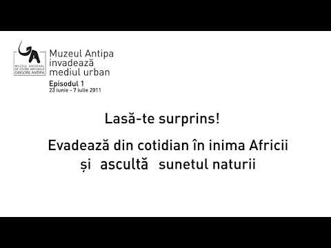 Muzeul Antipa