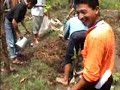 Latihan Solarisasi Tanah.wmv Latihan Solarisasi Tanah.wmv