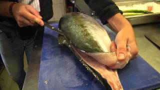 DIY | Wie filetiert man einen Hamachi oder Gelbschwanzmakrele? DIY | Wie filetiert man einen Hamachi oder Gelbschwanzmakrele?