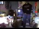 the Smtwtfs:Porcupine