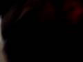 videos de ABE AND  MILO