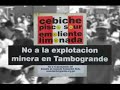 MINERIA ILEGAL - ANTONIO BRACK