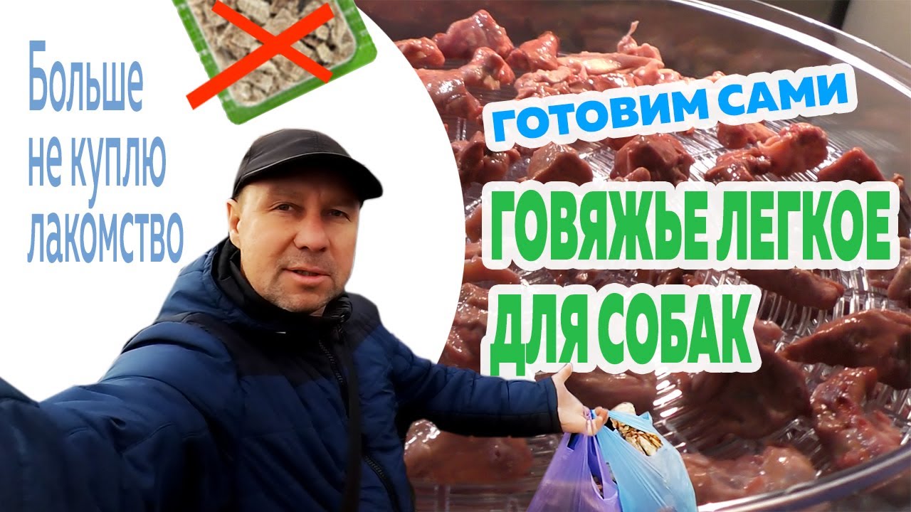 Сушеное вкусное говяжье легкое для собак! Дешевле в 14 раз! Лакомства для собак своими руками дома