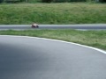 rc bike DMR crash in Melzo